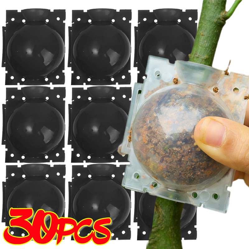 Bola de Enraizamento Reutilizá - Plant Parents avaliação e preço