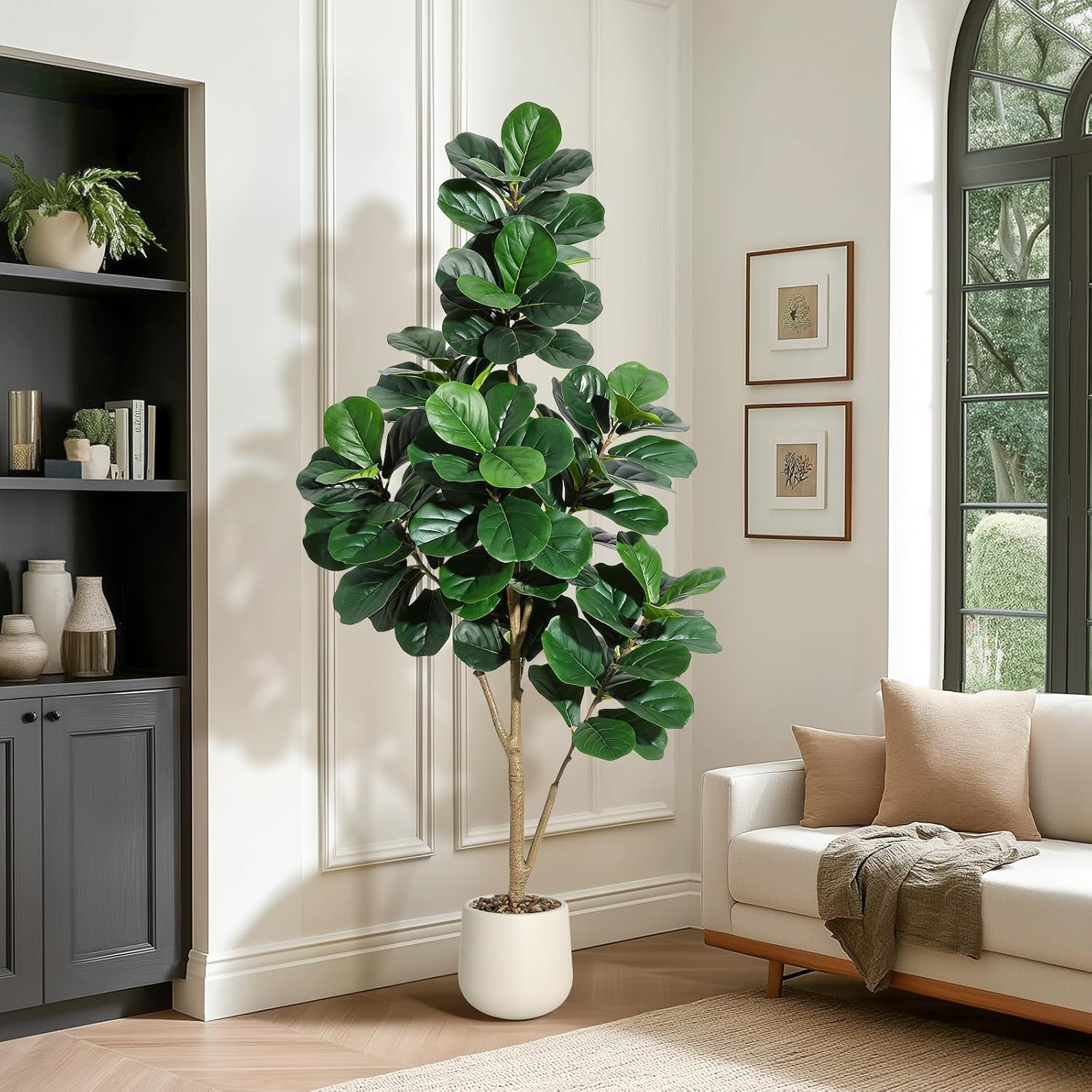 4-7 pés folha de violino figo  - Fiddle Leaf Fig avaliação e preço