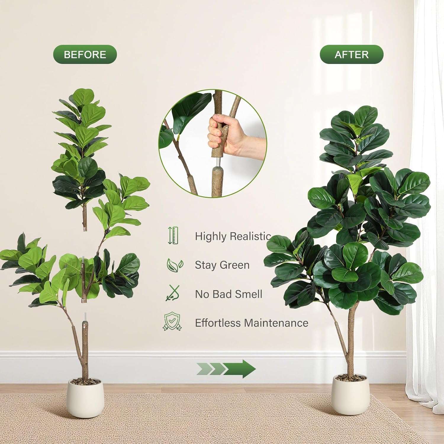 4-7 pés folha de violino figo  - Fiddle Leaf Fig avaliação e preço